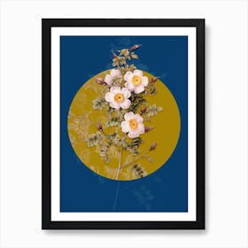 Vintage Botanical Thornless Burnet Rose on Circle Yellow on Blue Art Print
