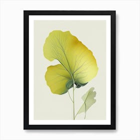 Ginkgo Herb Pencil Colour Art Print