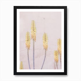 Yellow Cactus Flower Art Print