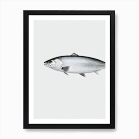 Tilefish Black & White Drawing Art Print