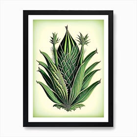 Aloe Vera Leaf Vintage Botanical Art Print