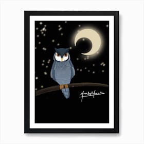 Owl At Night Art Print