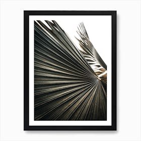 Palm Leaf 1 Art Print