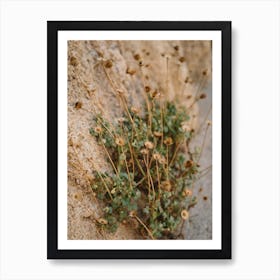 Mexico Mountain Side Art Print