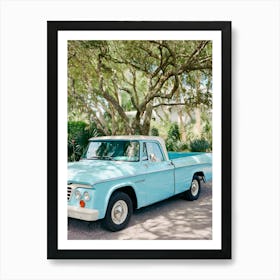 South Carolina Ride on Film Art Print