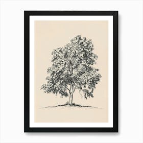 Elm Tree Minimalistic Drawing 1 Art Print