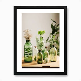 Botanical Bottles Affiche