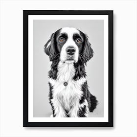 Boykin Spaniel B&W Pencil Dog Art Print