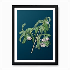Vintage Spaendoncea Tamarandifolia Botanical Art on Teal Blue n.0416 Art Print