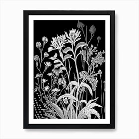 Thimbleweed Wildflower Linocut Art Print