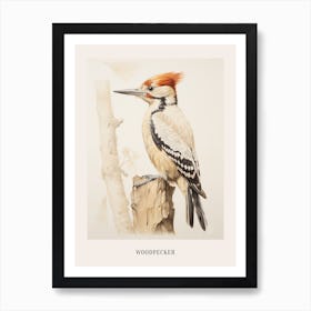 Vintage Bird Drawing Woodpecker 1 Poster Art Print