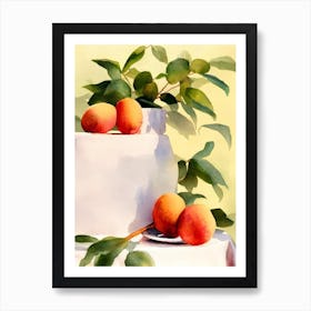 Longan 2 Italian Watercolour fruit Art Print