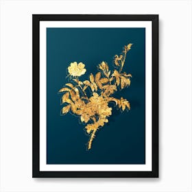 Vintage White Downy Rose Botanical in Gold on Teal Blue n.0049 Art Print