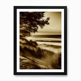 Sand Dunes 4 Art Print