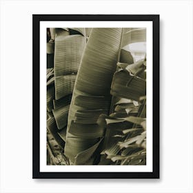 Palm Jungle Art Print