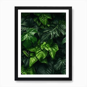 Tropical Leaves Background 3 Art Print