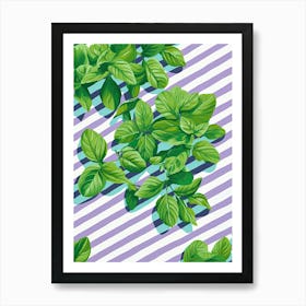 Basil Summer Illustration 7 Art Print