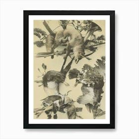 Foxes And Birds Art Print