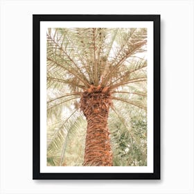 Tropical Palm Tree Art Print