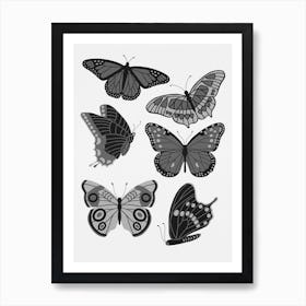 Texas Butterflies   Black And White Art Print