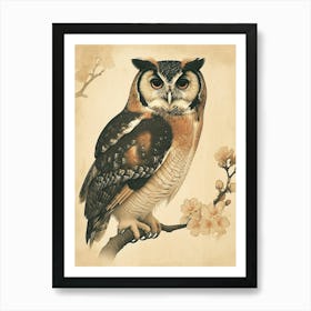 African Wood Owl Vintage Illustration 2 Art Print