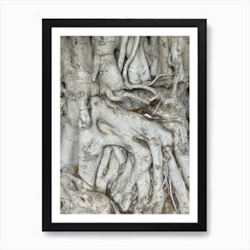 Img 1410 Art Print