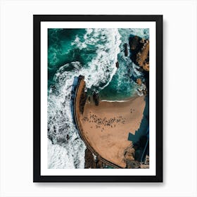 Seal Cove In La Jolla California Art Print