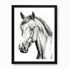 Highly Detailed Pencil Sketch Portrait of Horse with Soulful Eyes 5 Art Print