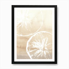 Sand Dollars 1 Art Print