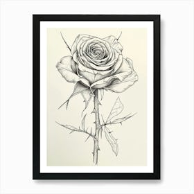 English Rose Black And White Line Drawing 33 Art Print