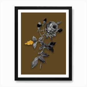 Vintage Provence Rose Black and White Gold Leaf Floral Art on Coffee Brown n.0492 Art Print