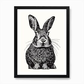 Beveren Blockprint Rabbit Illustration 4 Art Print