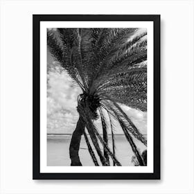 Textured Palm Poster