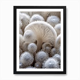 Mushroom Photography 4 Art Print