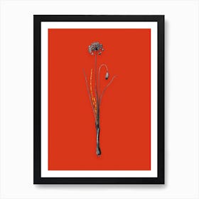 Vintage Autumn Onion Black and White Gold Leaf Floral Art on Tomato Red n.0689 Art Print