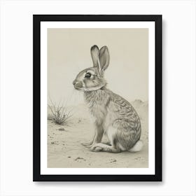 Rhinelander Rabbit Drawing 2 Art Print