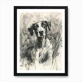 American Foxhound Dog Charcoal Line 1 Art Print