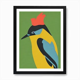 Woodpecker 2 Midcentury Illustration Bird Art Print
