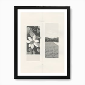 Columbine Flower Photo Collage 2 Art Print