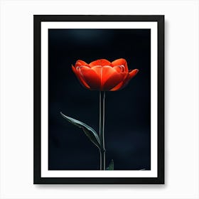 Single Red Tulip Art Print