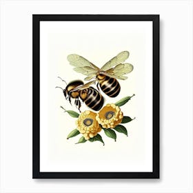 Wax Bees 3 Vintage Art Print
