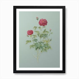 Vintage Burgundy Cabbage Rose Botanical Art on Mint Green n.0520 Art Print