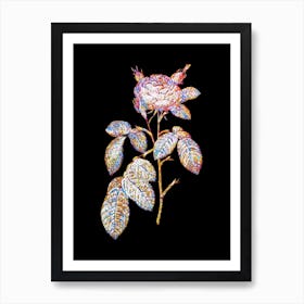Stained Glass Red Gallic Rose Mosaic Botanical Illustration on Black n.0202 Art Print
