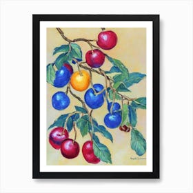 Barbados 1 Cherry Vintage Sketch Fruit Art Print