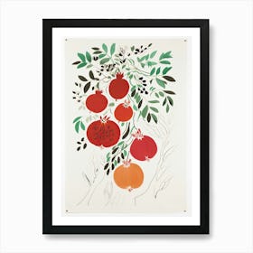 Pomegranate Fruit Drawing 2 Art Print