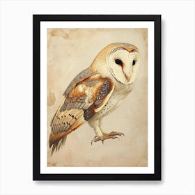 Barn Owl Painting 7 Art Print