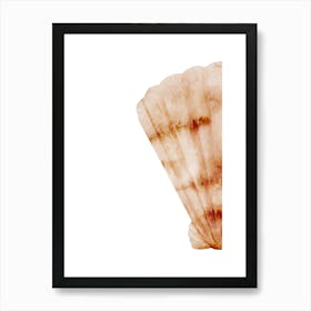 Colored seashells. Seashells. Summer.6 Art Print