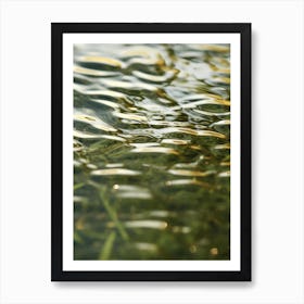 Water Ripples 1 Art Print