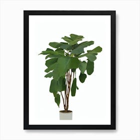 Cardboard Palm (Zamia Furfuracea) Watercolor Art Print