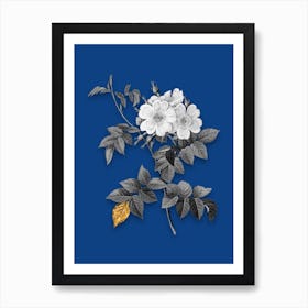 Vintage White Rosebush Black and White Gold Leaf Floral Art on Midnight Blue n.0605 Art Print